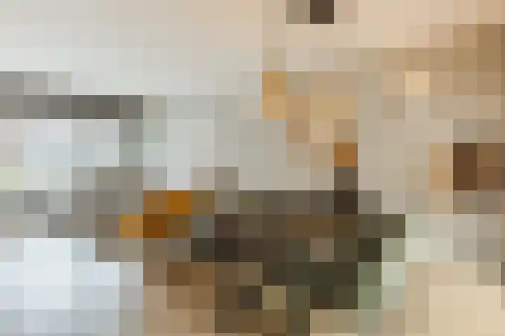 Dr Ensinkstraat 4 Halsteren thumbnail 9