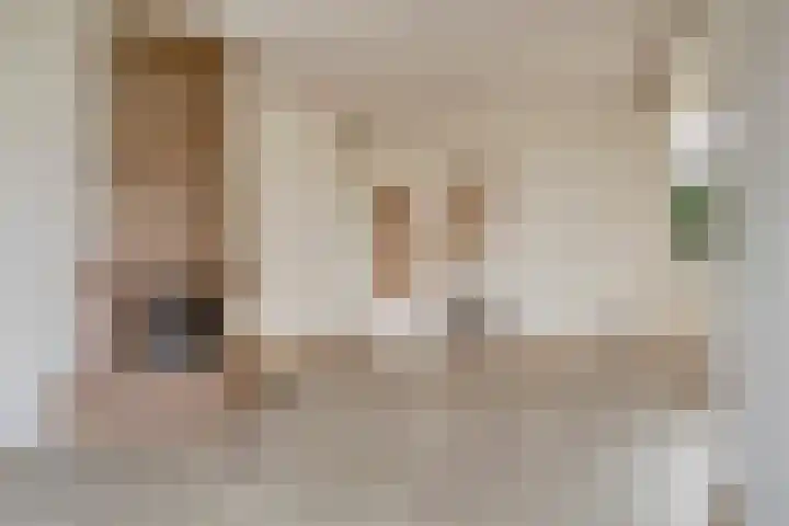 Dr Ensinkstraat 65 Halsteren thumbnail 12