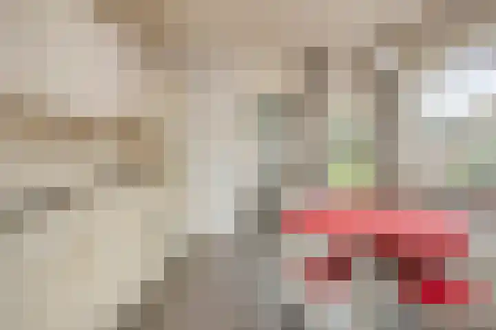 Dr Ensinkstraat 65 Halsteren thumbnail 14