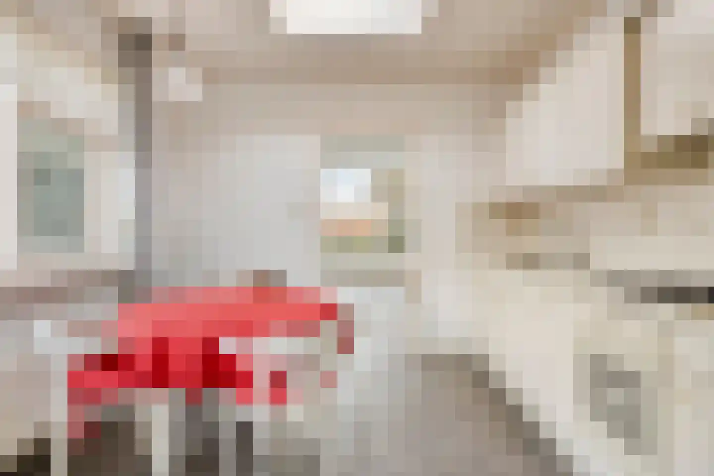Dr Ensinkstraat 65 Halsteren thumbnail 17