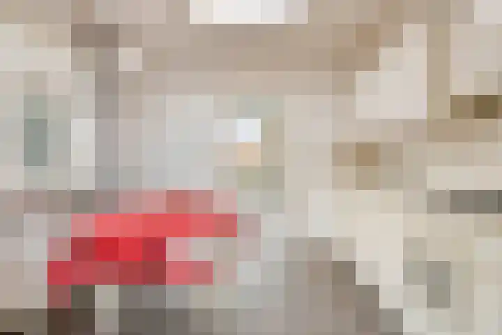 Dr Ensinkstraat 65 Halsteren thumbnail 17