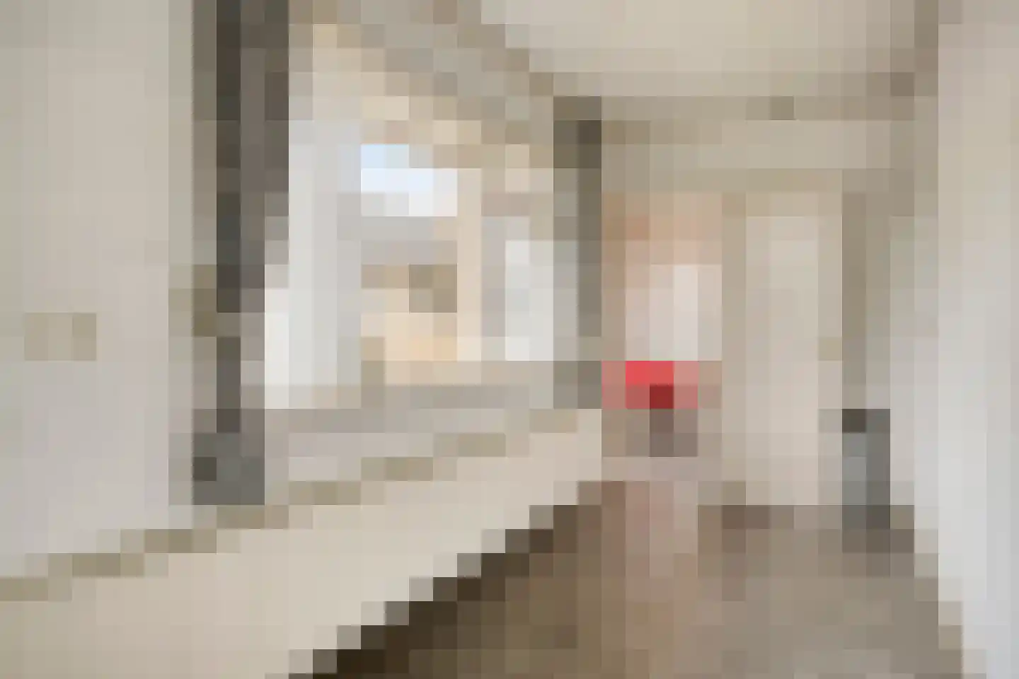 Dr Ensinkstraat 65 Halsteren thumbnail 18