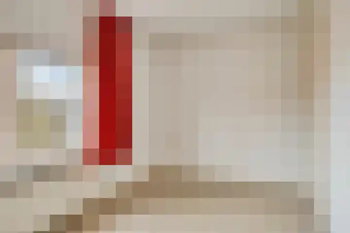 Dr Ensinkstraat 65 Halsteren thumbnail 22