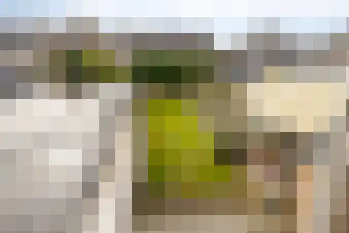 Dr Ensinkstraat 65 Halsteren thumbnail 25