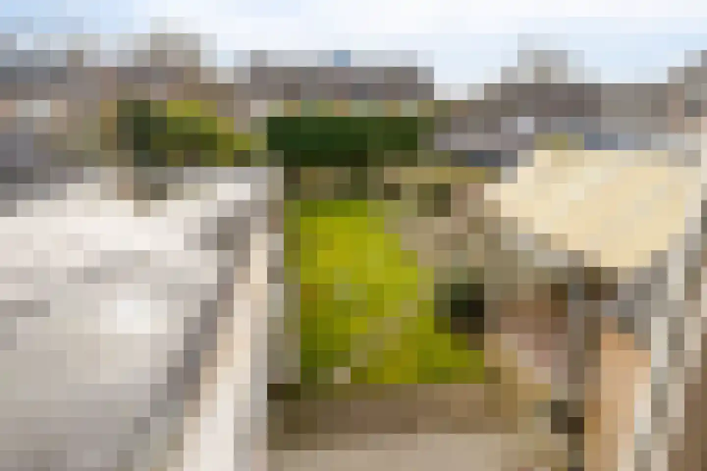 Dr Ensinkstraat 65 Halsteren thumbnail 25