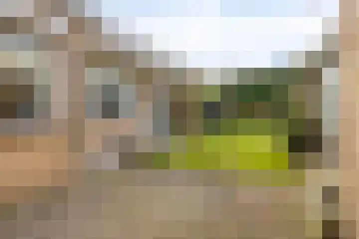 Dr Ensinkstraat 65 Halsteren thumbnail 31