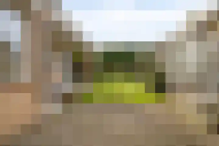 Dr Ensinkstraat 65 Halsteren thumbnail 32