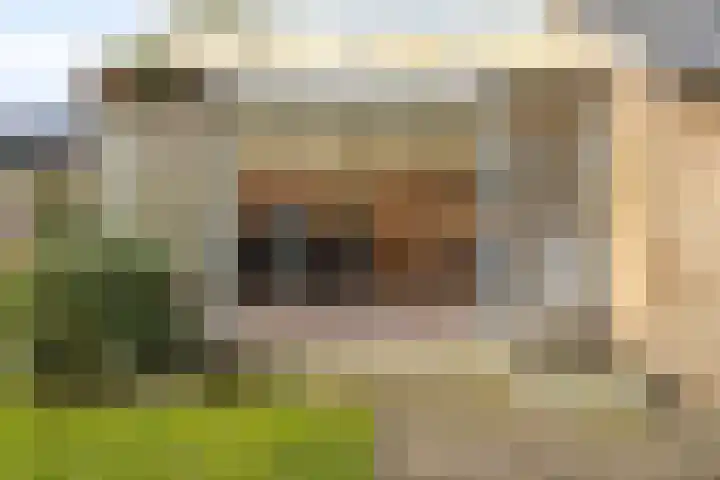 Dr Ensinkstraat 65 Halsteren thumbnail 34