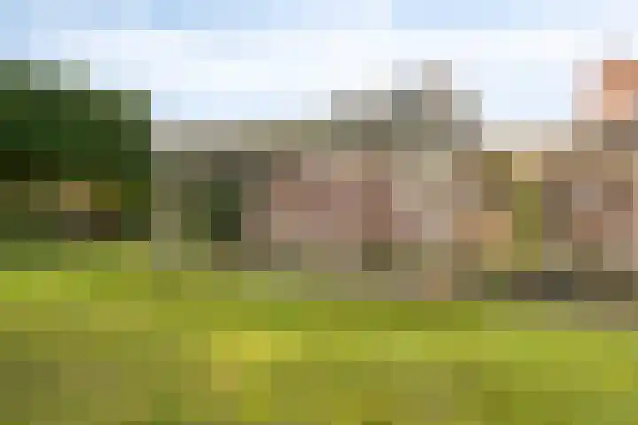Dr Ensinkstraat 65 Halsteren thumbnail 36