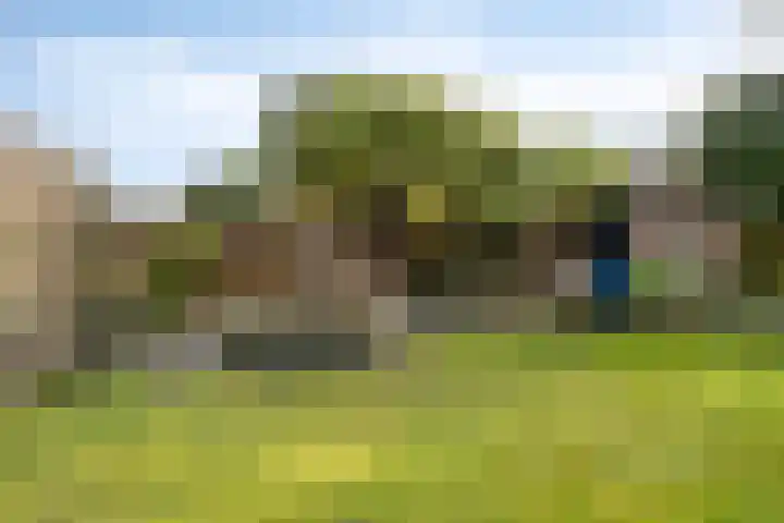 Dr Ensinkstraat 65 Halsteren thumbnail 37