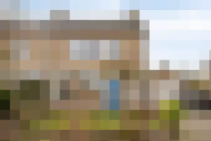 Dr Ensinkstraat 65 Halsteren thumbnail 4