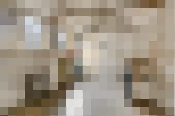 Dr Ensinkstraat 65 Halsteren thumbnail 43