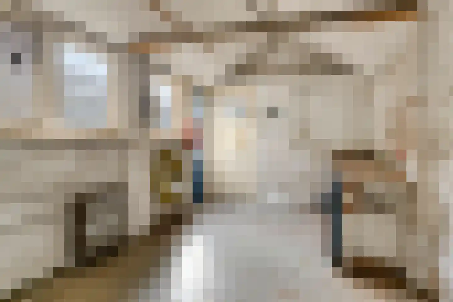 Dr Ensinkstraat 65 Halsteren thumbnail 43
