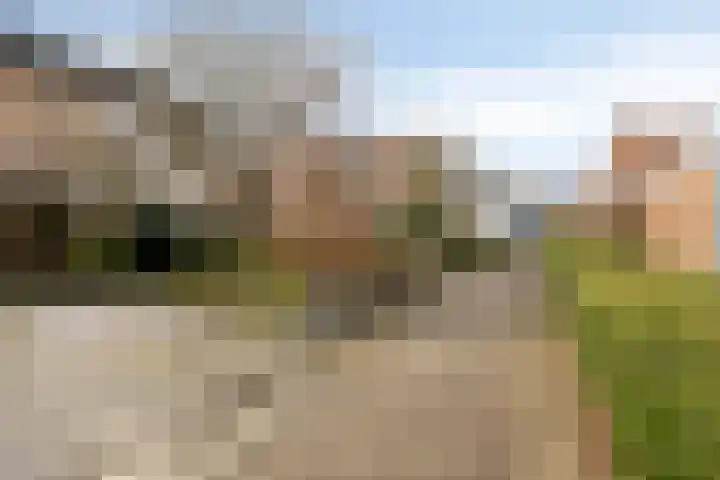 Dr Ensinkstraat 65 Halsteren thumbnail 44