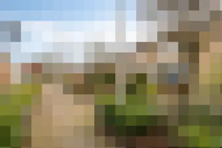 Dr Ensinkstraat 65 Halsteren thumbnail 45