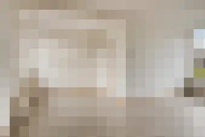 Dr Ensinkstraat 65 Halsteren thumbnail 8