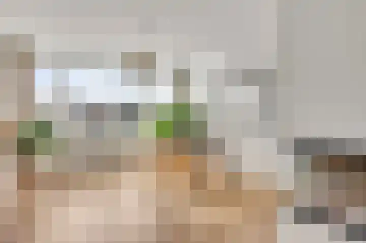 Dr Erensstraat 16 Valkenburg thumbnail 9