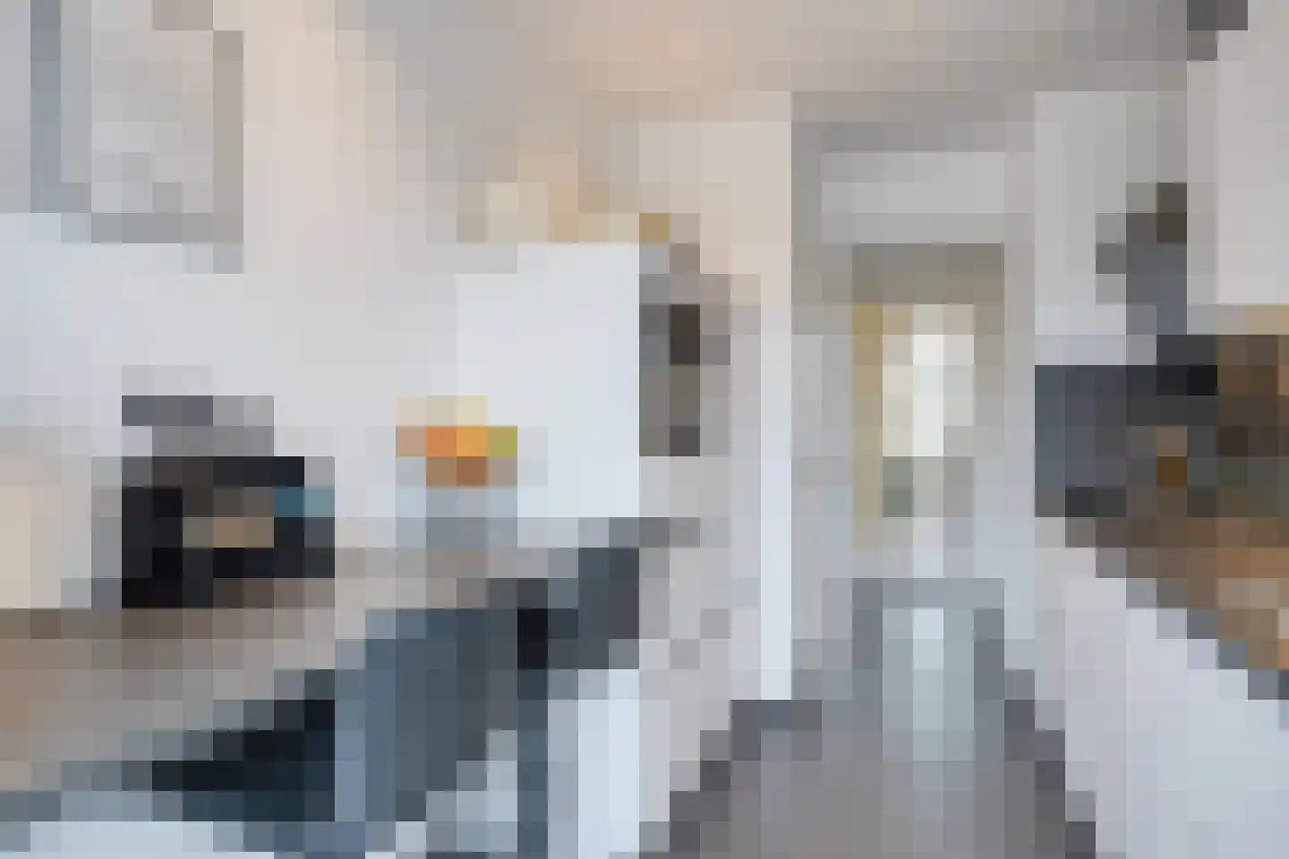 Dr Erensstraat 42 Valkenburg thumbnail 19