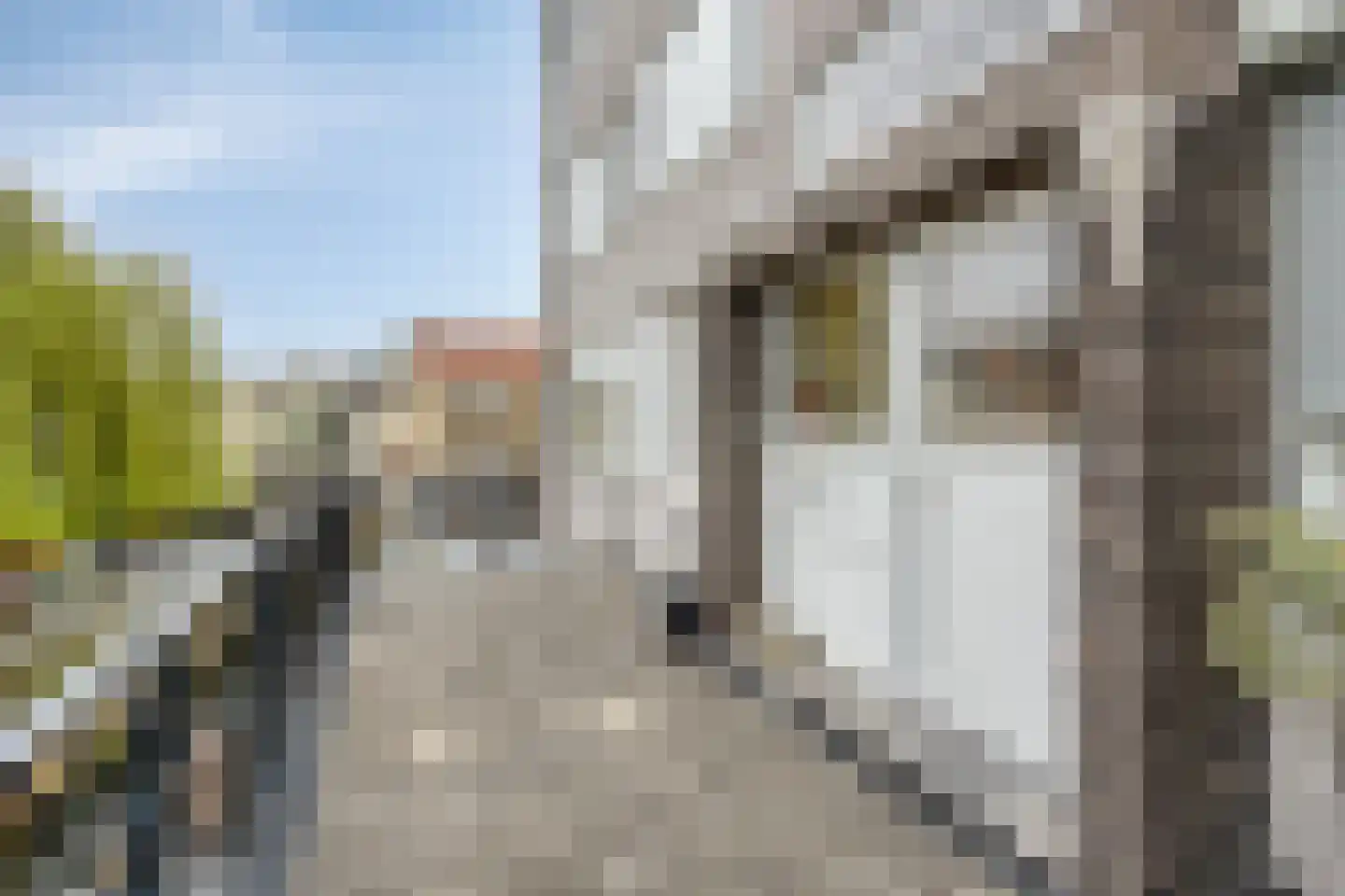 Dr Erensstraat 42 Valkenburg thumbnail 6