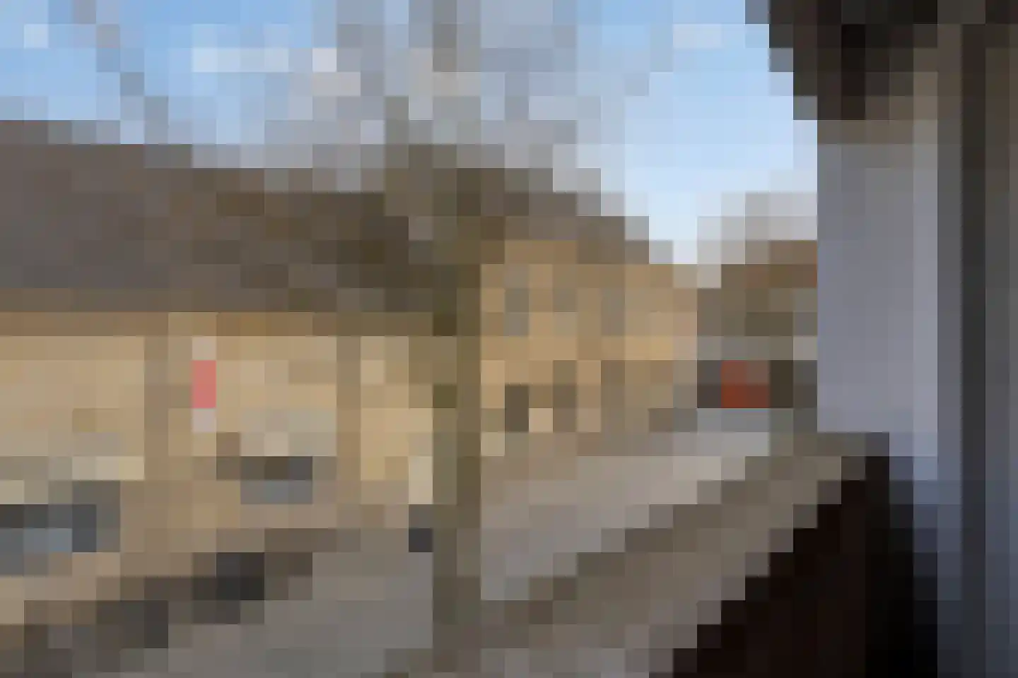 Dr Erensstraat 50 Valkenburg thumbnail 18