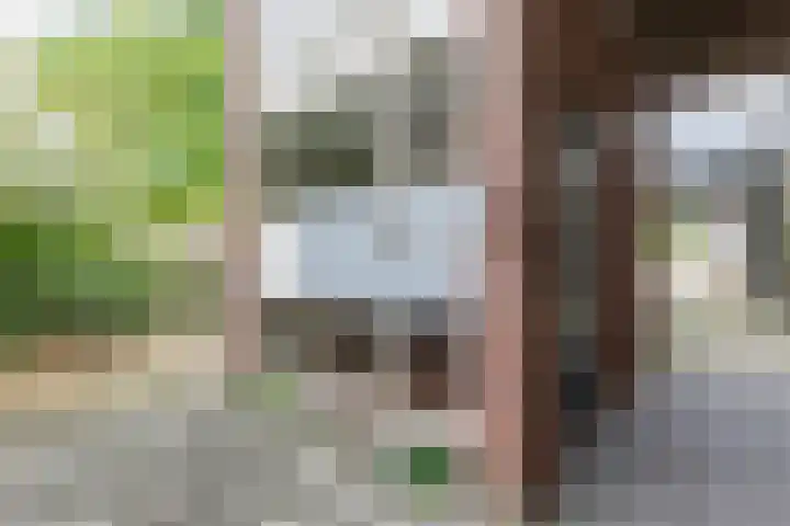 Dr Erensstraat 66 Valkenburg thumbnail 22