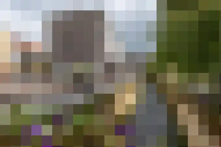 Dr Erensstraat 66 Valkenburg thumbnail 26