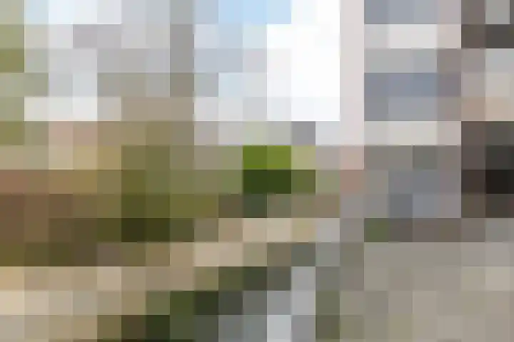 Dr Erensstraat 68 Valkenburg thumbnail 11