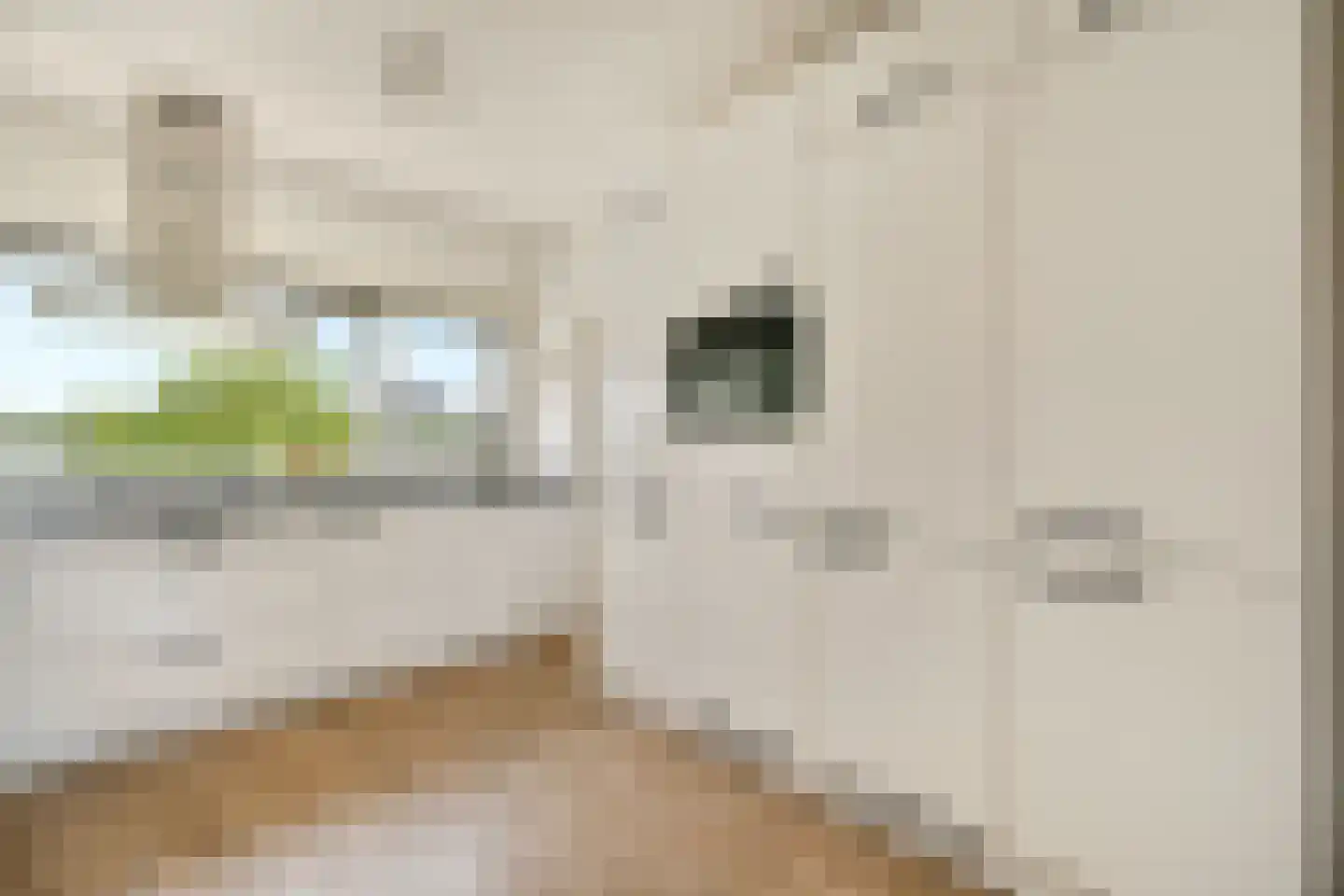 Dr. Eykmanstraat 26 Amstelveen thumbnail 9