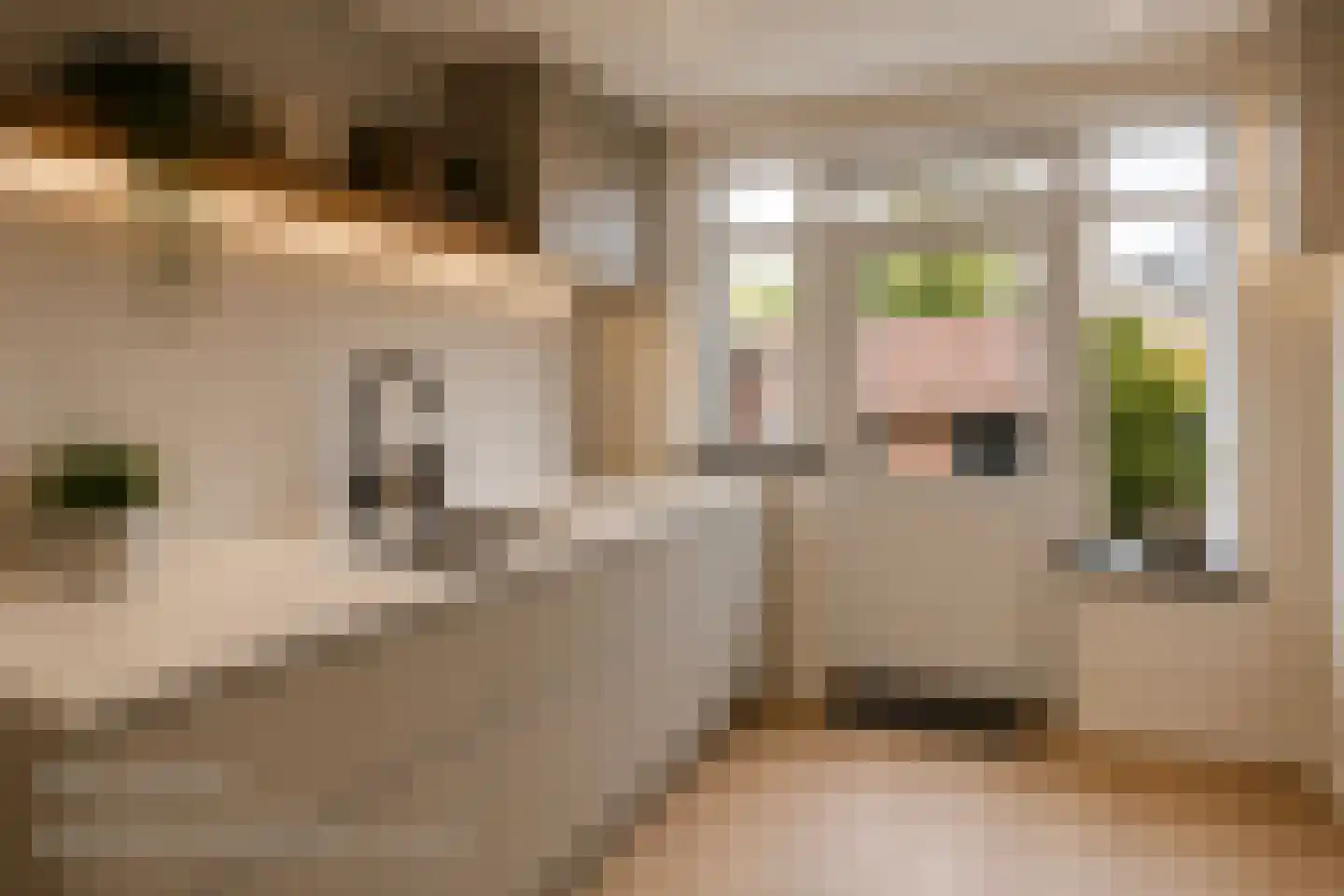 Dr F.H. Reijnderslaan 7 Schipluiden thumbnail 14