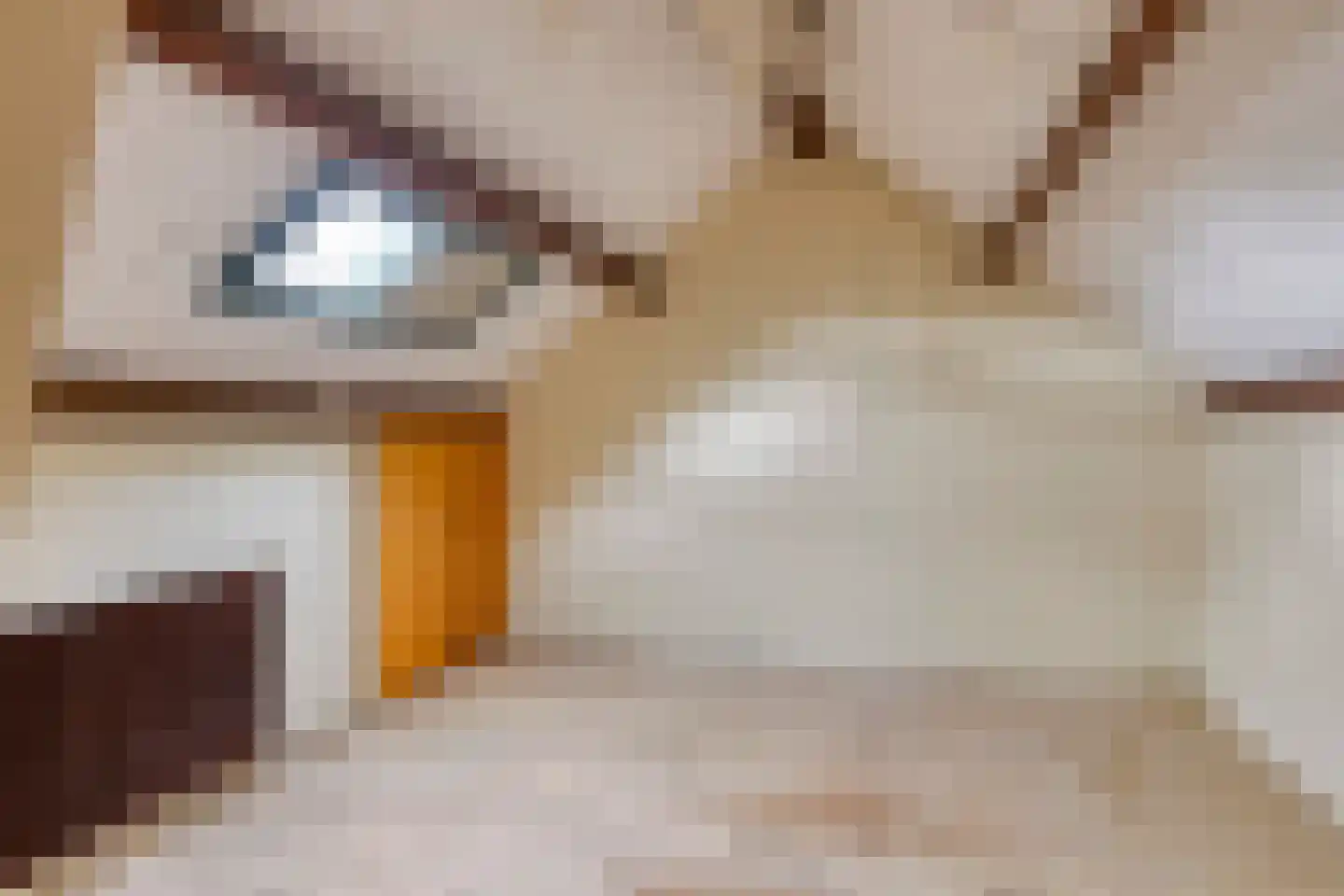 Dr F.H. Reijnderslaan 7 Schipluiden thumbnail 4