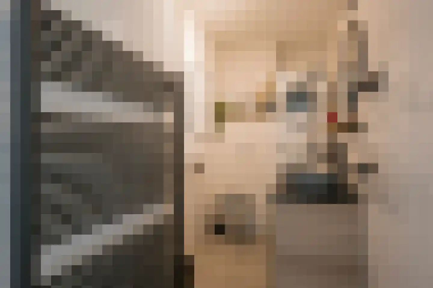 Dr. F.W. Klaarenbeeksingel 102 Hoevelaken thumbnail 22