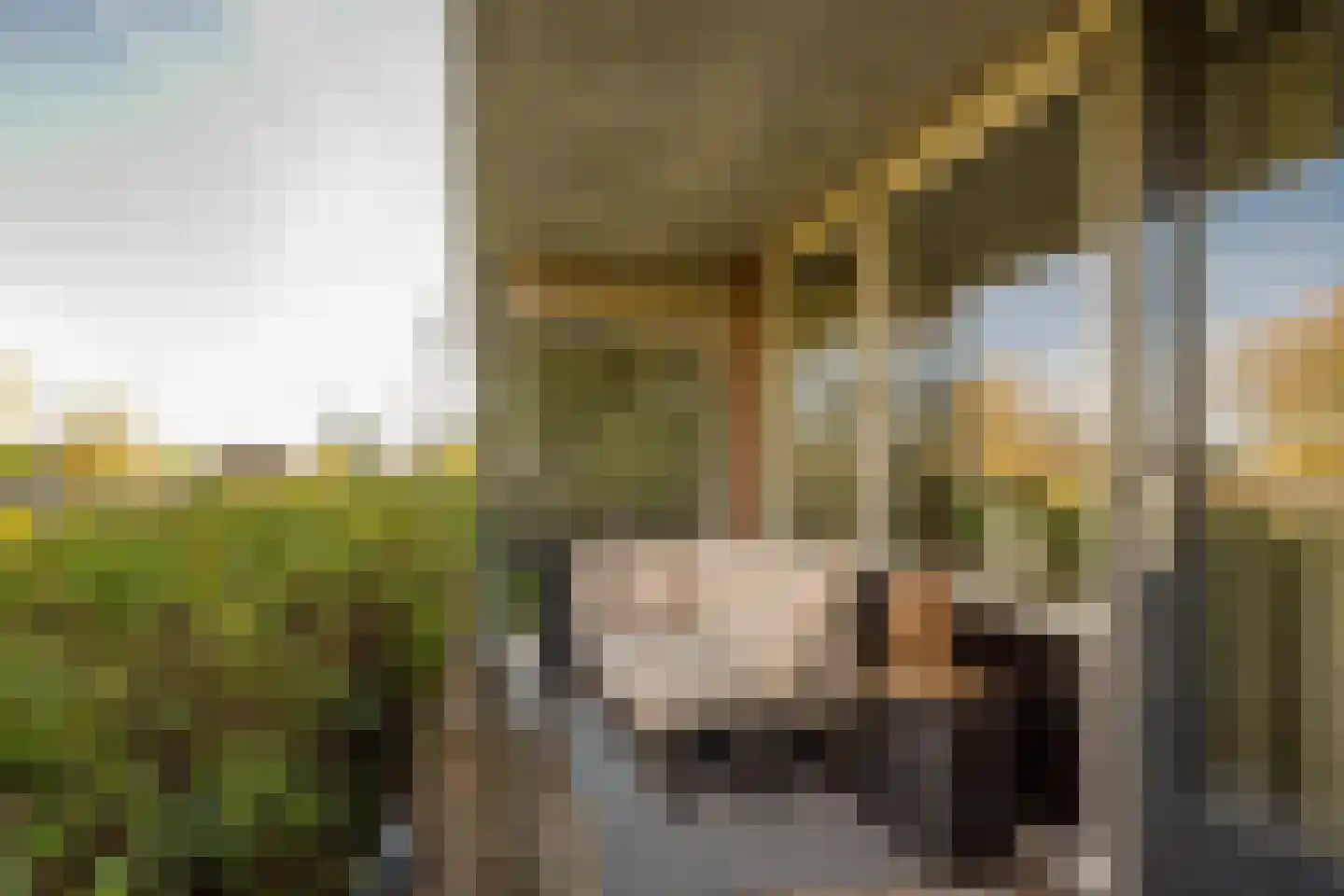 Dr. F.W. Klaarenbeeksingel 102 Hoevelaken thumbnail 6