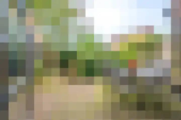 Dr. F.W. Klaarenbeeksingel 13 Hoevelaken thumbnail 17