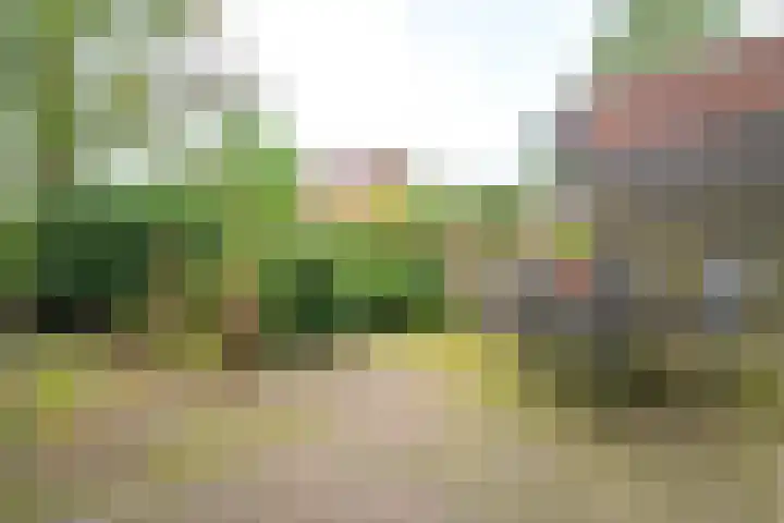 Dr. F.W. Klaarenbeeksingel 13 Hoevelaken thumbnail 18