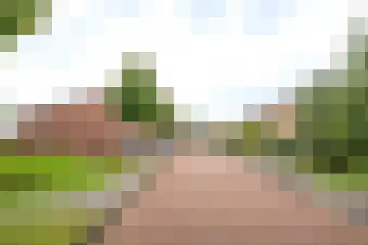 Dr. F.W. Klaarenbeeksingel 13 Hoevelaken thumbnail 39