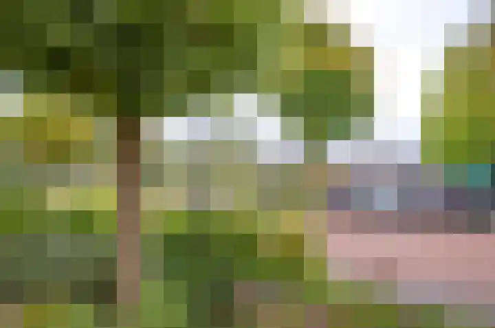 Dr. F.W. Klaarenbeeksingel 13 Hoevelaken thumbnail 40