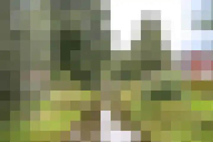 Dr. F.W. Klaarenbeeksingel 13 Hoevelaken thumbnail 41