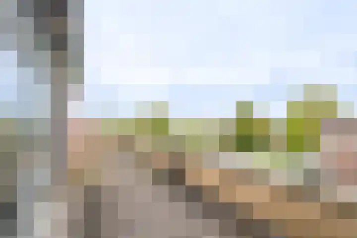 Dr. F.W. Klaarenbeeksingel 13 Hoevelaken thumbnail 5