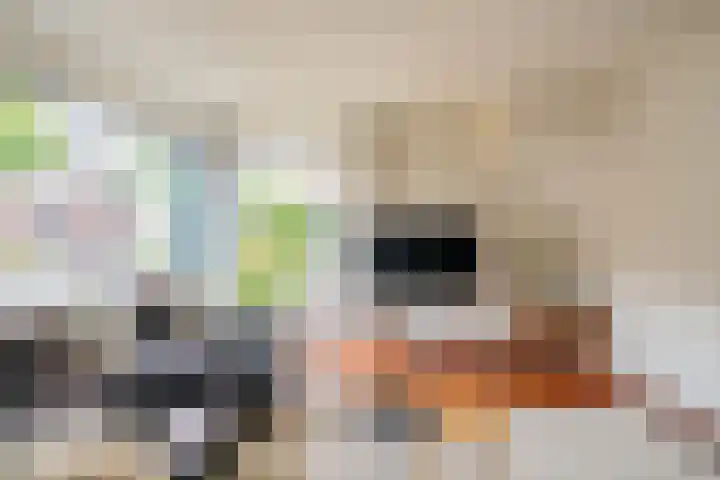 Dr. F.W. Klaarenbeeksingel 13 Hoevelaken thumbnail 9