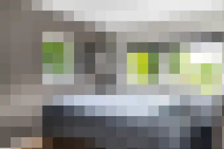 Dr. F.W. Klaarenbeeksingel 33 Hoevelaken thumbnail 25