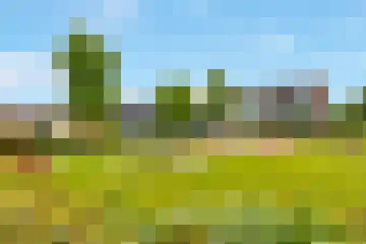 Dr. F.W. Klaarenbeeksingel 33 Hoevelaken thumbnail 40