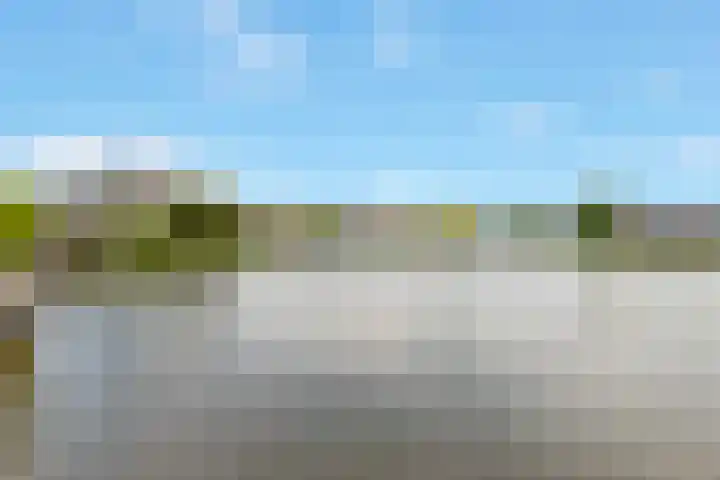 Dr. F.W. Klaarenbeeksingel 33 Hoevelaken thumbnail 41