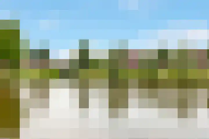 Dr. F.W. Klaarenbeeksingel 33 Hoevelaken thumbnail 42