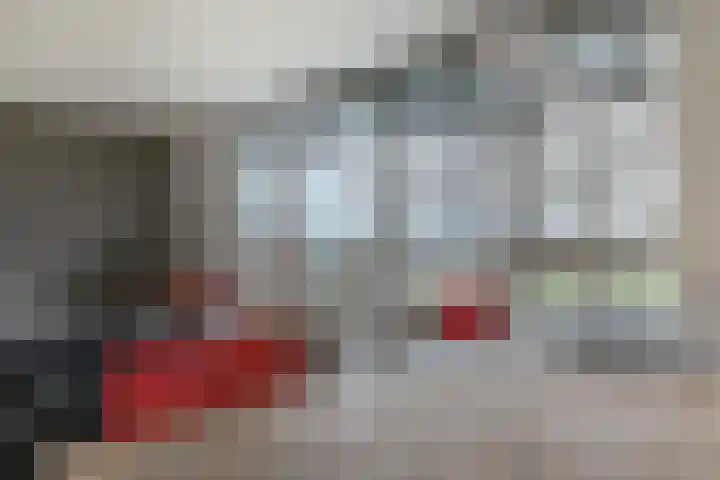 Dr. F.W. Klaarenbeeksingel 4 Hoevelaken thumbnail 10