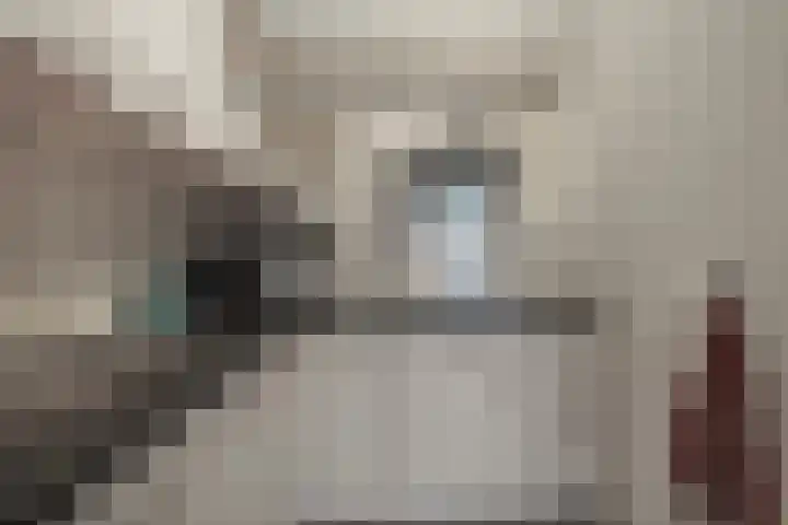 Dr. F.W. Klaarenbeeksingel 4 Hoevelaken thumbnail 12