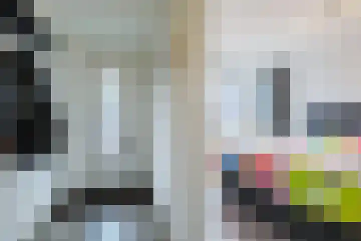 Dr. F.W. Klaarenbeeksingel 4 Hoevelaken thumbnail 14