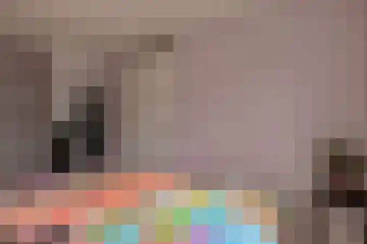 Dr. F.W. Klaarenbeeksingel 4 Hoevelaken thumbnail 16