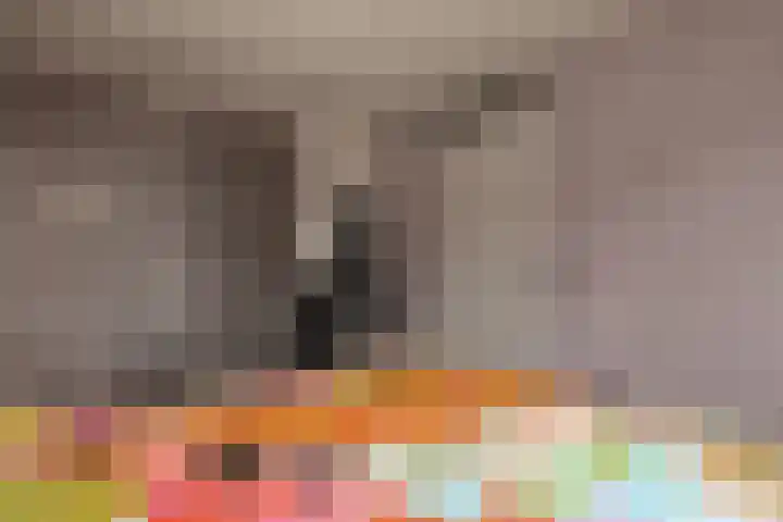 Dr. F.W. Klaarenbeeksingel 4 Hoevelaken thumbnail 17