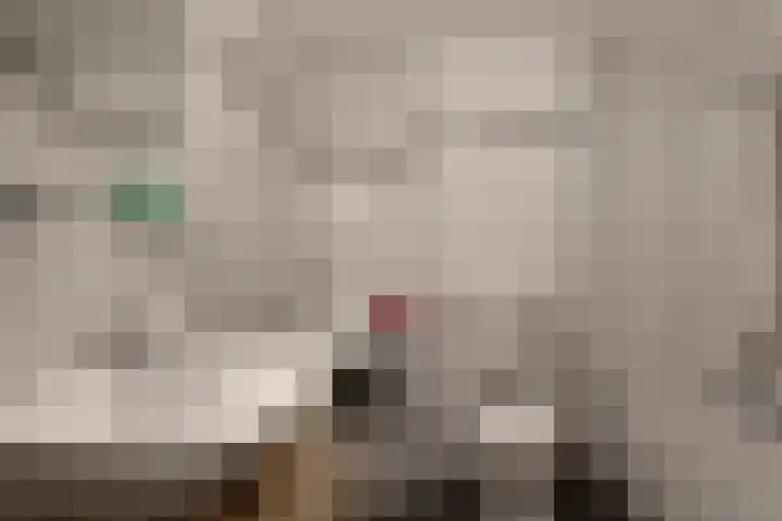 Dr. F.W. Klaarenbeeksingel 4 Hoevelaken thumbnail 19