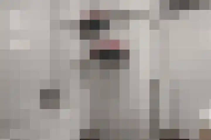 Dr. F.W. Klaarenbeeksingel 4 Hoevelaken thumbnail 21